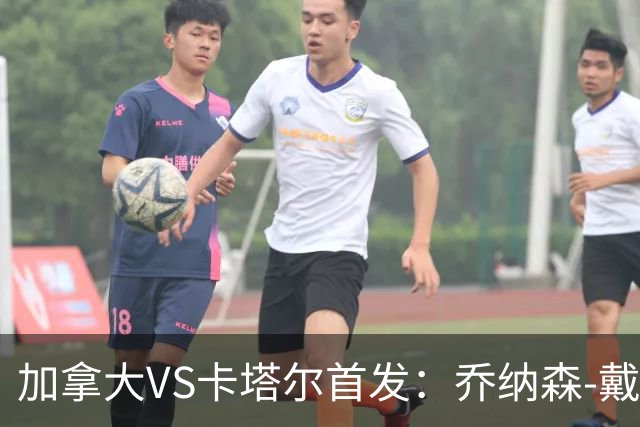 加拿大VS卡塔尔首发：乔纳森-戴维配布坎南 阿芳仍替补