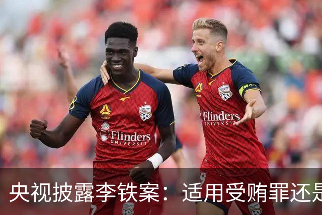 央视披露李铁案：适用受贿罪还是非国家工作人员受贿罪？