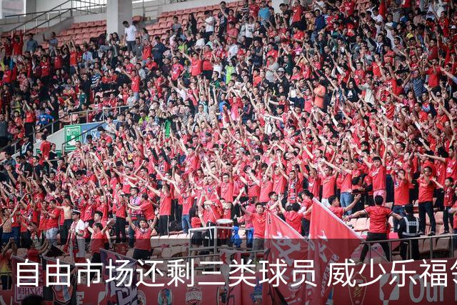 自由市场还剩三类球员 威少乐福领衔失业大军？